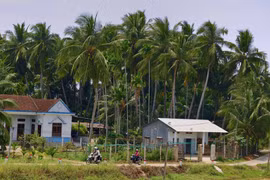 Opening Pathways for Tourism Beneath the Green Coconut Palms