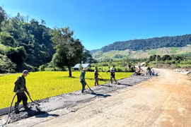 New Gia Lai road cuts journeys by nearly 11km, easing farmers’ access to markets