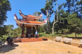 The Field That Bears the Mark of the Tây Sơn Dynasty