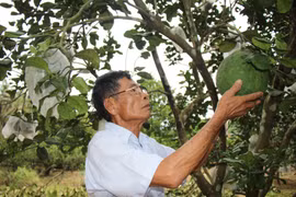 Building Regional-Scale Agricultural Brands