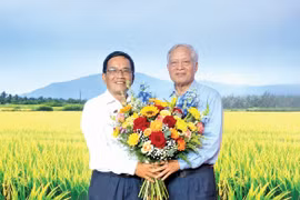 From Grains of Rice, the Soul of the Homeland is Written