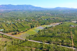 Four Decades Rooted in the Land, Building a Prosperous Countryside
