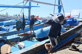 Ships Arriving at Port Brimming with Joy