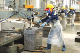 Gia Lai actively supports businesses in expediting project implementation