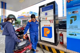 Switching to E10 Gasoline: Businesses Ready, Consumers Gradually Adapting