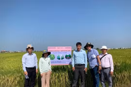 Low-Emission Production in Crop Cultivation: Opening Pathways to Participate in the Carbon Credit Market