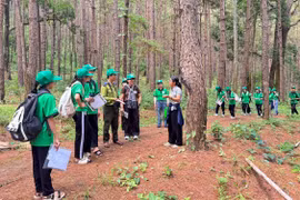 Classroom in the Heart of Kon Ka Kinh Forest