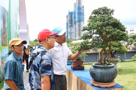 Many Unique Works Gathered at the First Gia Lai Province Expanded Ornamental Creatures Exhibition and Festival 2025