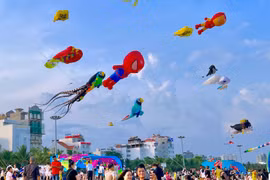 Diverse activities featured at the Quy Nhon Dong Ward Tourism Festival 2026.