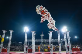 To perform the Mai Hoa Thung, many lion dance troupes have had to invest significant time and effort in long-term training.