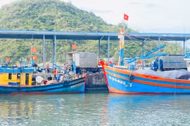 Thoroughly Addressing Shortcomings and Limitations in Combating IUU Fishing