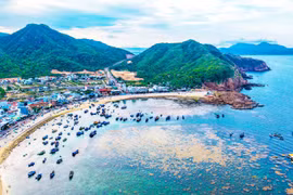 Unlocking the "Cultural Goldmine" to Propel Tourism Growth