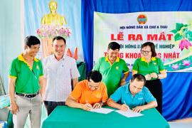 Gia Lai farmers turn to quality standards and cooperation to boost agricultural value