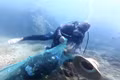 Members of the Nhon Hai Community Group for Aquatic Resource Protection dive to safeguard the coral reefs.