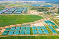 Taking Vietnamese Enterprises Deeper into International Markets