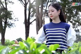 Bien Ho Tea (Bien Ho Commune, Gia Lai Province) – A Century-Old Legacy