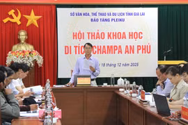 Gia Lai: Proposal to Grant Provincial Historical Site Status to An Phu Champa Relic