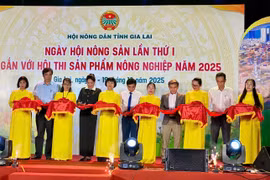 Gia Lai launches first agricultural products festival to promote local excellence