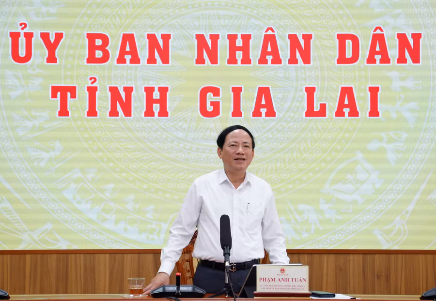 gia-lai-dong-hanh-thuc-day-doanh-nghiep-tien-phong-phat-trien.jpg