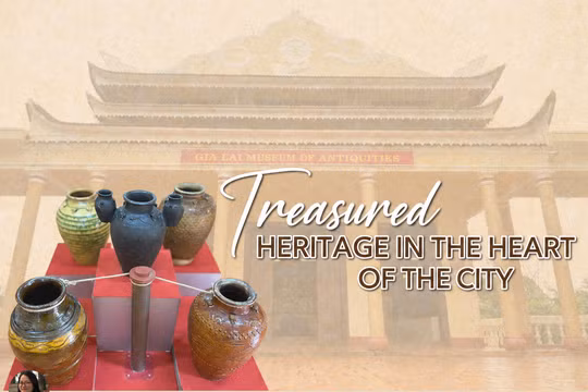 A Hidden Treasure in the Heart of the City
