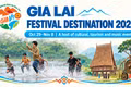 Gia Lai bustling with year-end festivals and events in 2026