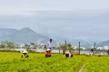 From Vegetable Village to Community Tourism Destination: New Livelihoods in Thuận Nghĩa