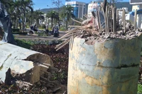 Gia Lai: Widespread devastation in the aftermath of storm