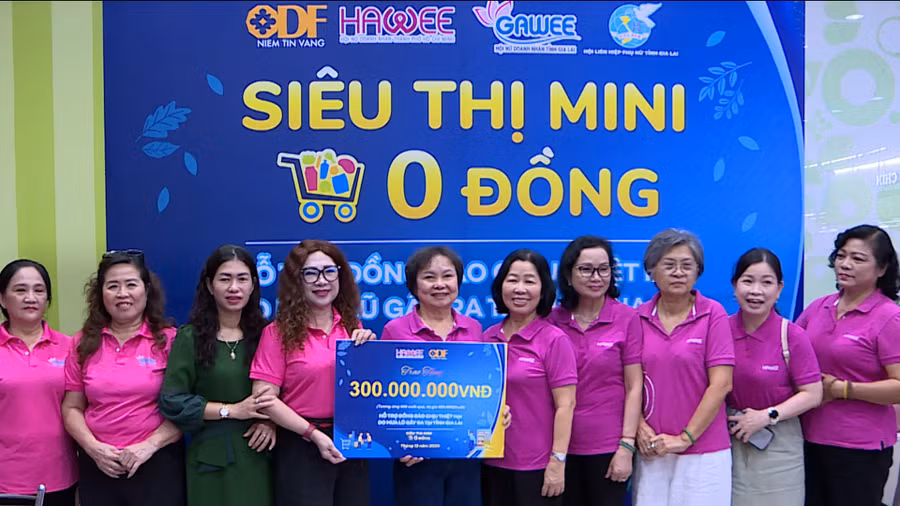 hoi-nu-doanh-nhan-tp-ho-chi-minh-da-trao-300-trieu-dong-cho-hoi-nu-doanh-nhan-tinh-gia-lai.jpg