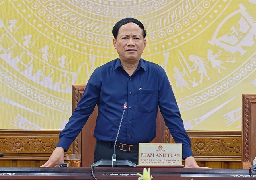 Chairman of the Provincial People’s Committee Phạm Anh Tuấn delivers directives at the meeting. Photo: Dũng Nhân