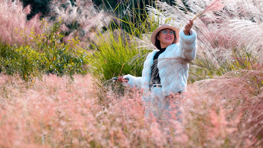 The pampas grass here begins to bloom at the end of September and reaches its peak in October. Photo: Doãn Lâm co-hong00-00-06-13still003.jpg