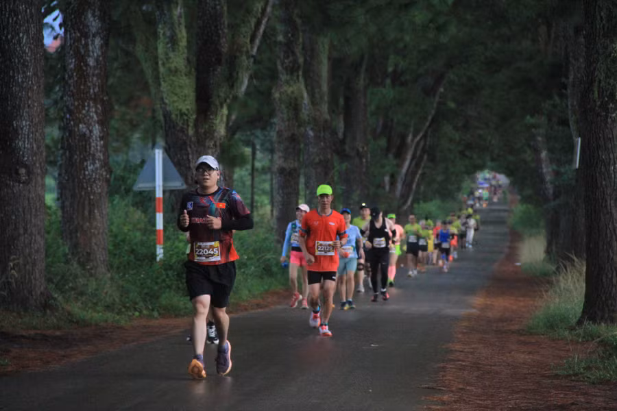hang-thong-tram-tuoi-duoi-nhieu-chan-chay-cu-ly-21km-dung-lai-check-in-anh-hh.jpg