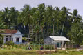 Opening Pathways for Tourism Beneath the Green Coconut Palms