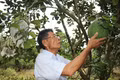 Building Regional-Scale Agricultural Brands