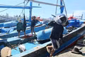 Ships Arriving at Port Brimming with Joy