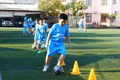 Keeping the Passion Alive on Community Football Fields