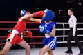Excitement builds as many promising young boxers emerge at the first Gia Lai Provincial Sports Festival Boxing Event and the 2026 Gia Lai Provincial Youth Boxing Club and Dojo Championship.