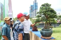 Many Unique Works Gathered at the First Gia Lai Province Expanded Ornamental Creatures Exhibition and Festival 2025