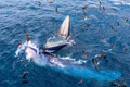 The Blue Sea in the Mindset of a Fishing Village