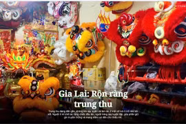 Gia Lai youth keep mid-autumn lion dance traditions alive