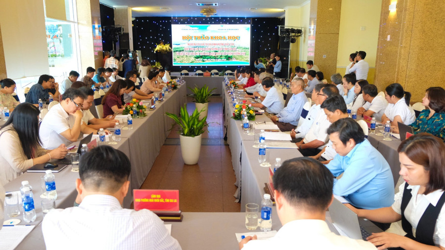 Overview of the conference. Photo: Ngọc Nhuận dscf3137.jpg
