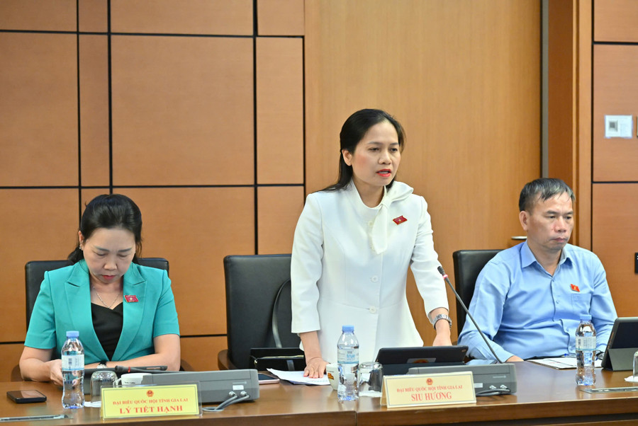 According to Deputy Head of the Provincial National Assembly Delegation, Siu Hương, there needs to be a mechanism binding the responsibilities of vocational institutions and enterprises in workforce training. Photo: Provincial National Assembly Delegation gen-h-luat-giao-duc-2.jpg
