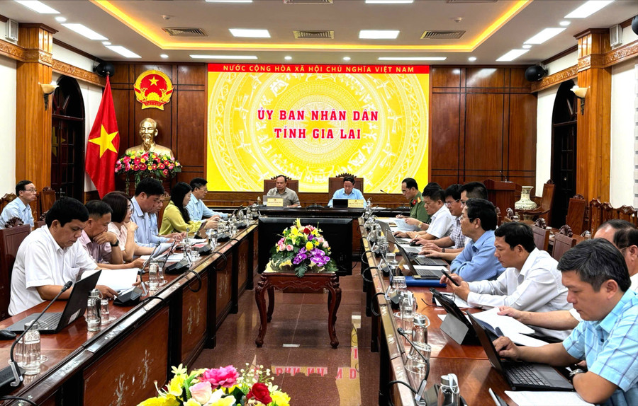 Delegates attend the meeting at the Gia Lai Provincial People's Committee. Photo: N.H quyet-tam-chong-khai-thac-iuu-phat-trien-nganh-thuy-san-ben-vung.jpg