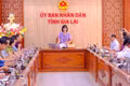 Vice Chairwoman of the Provincial People's Committee Nguyễn Thị Thanh Lịch (standing) chairs the meeting. Photo: Đoan Ngọc