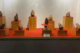 Pleiku Museum to showcase early paleolithic artifacts from Roc Tung - Go Da site during Tet holiday