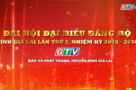 The first Congress of the Gia Lai Provincial Party Committee will take place from October 2 to October 4.