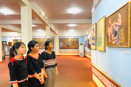 Gia Lai seminar charts path to preserve artistic legacy of painter Xu Man