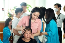 Pink Hair Gia Lai Club donates 220 wigs to cancer patients