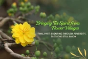 Preserving the Spirit of Tet in Traditional Flower Villages