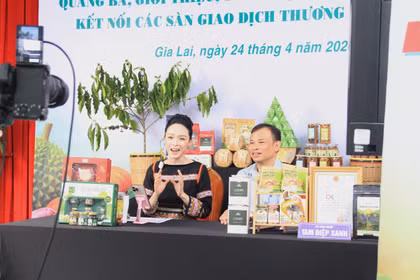 Deputy Director of Gia Lai Department of Industry and Trade Hosts Livestream to Promote Agricultural Products