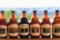 Each type of beer has its own distinct flavor and color. Photo: Hoang Hoai
